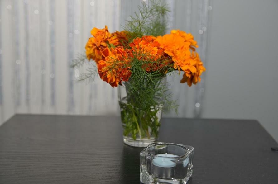 Apartament Skałka Jaworzno Bagian luar foto